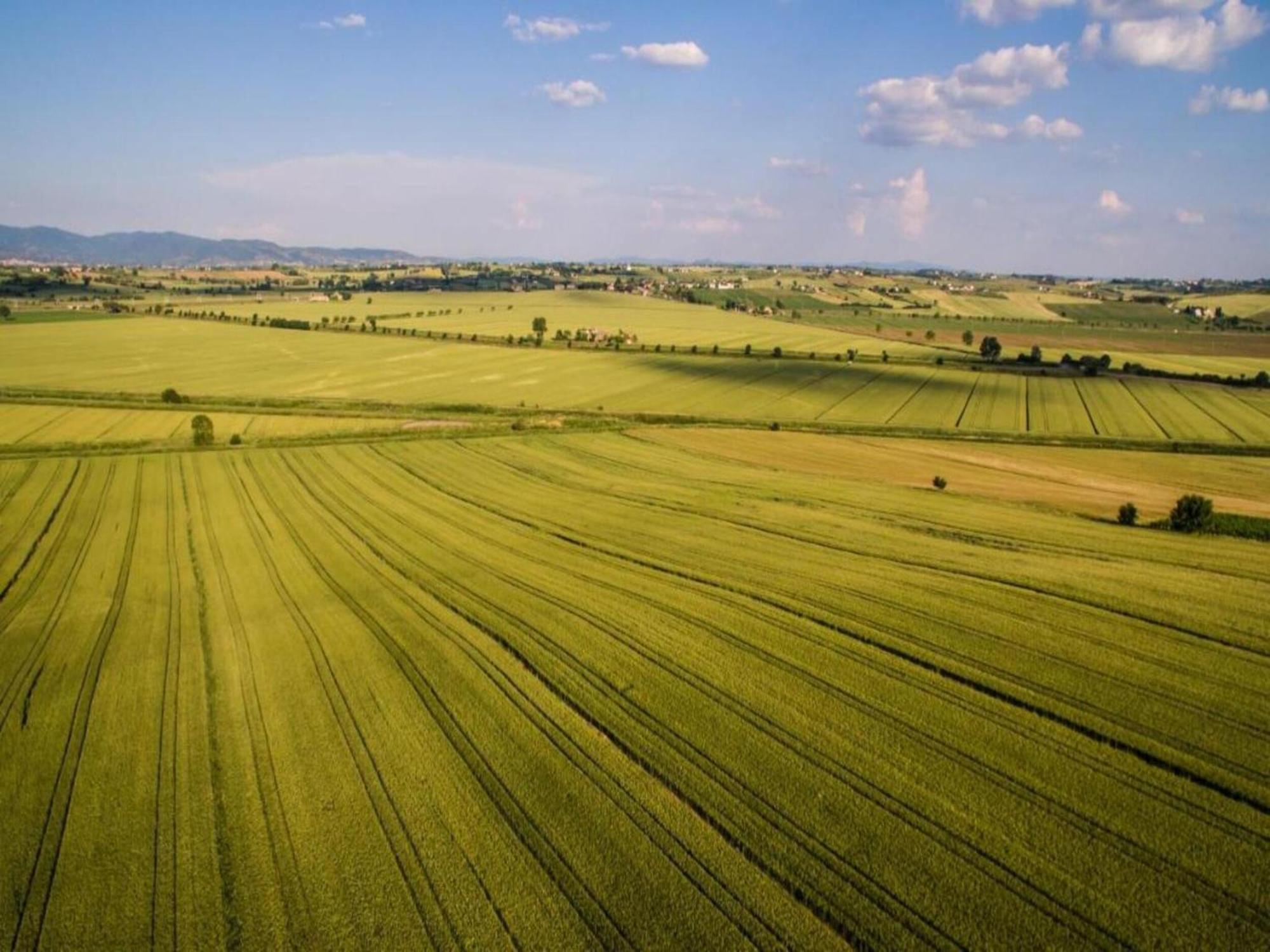 Belvilla By Oyo Mulino Cortona Dış mekan fotoğraf